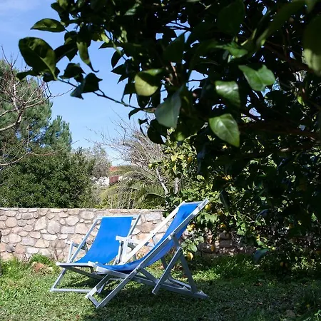 Il Gelsomino Casa vacanze Marciana Marina (Isola d'Elba)